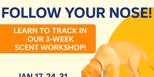 FOLLOW YOUR NOSE! 3-Week ScentT WorkshopP @ Zoom Room Santa Clara