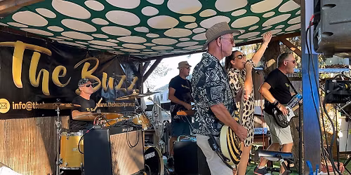 The Buzz @ Pedro's Bar, 26th April 3pm - +351 282 315 396