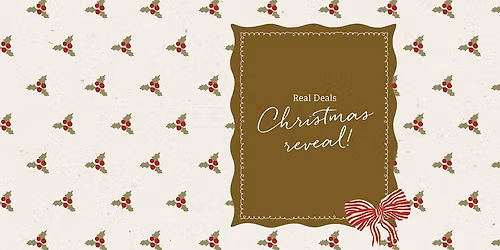 Christmas Reveal