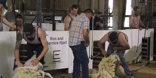 2026 Mike McWilliam Memorial Shearing Contest