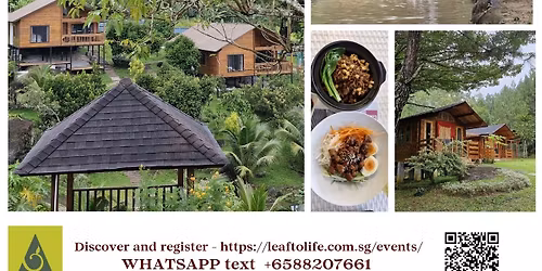 My Healing Life Retreat - Divine Remedies of Hildegard