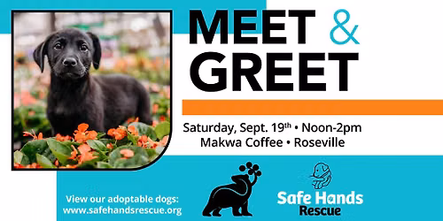 Safe Hands Rescue Meet & Greet at Makwa Coffee