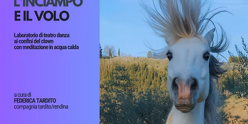 L'inciampo e il volo