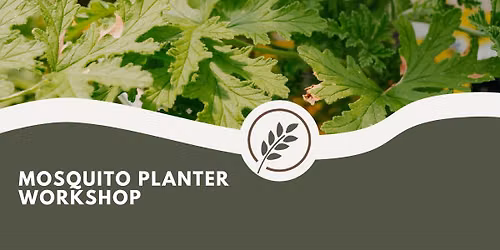 Mosquito Repellant Planter Workshop