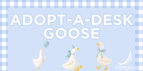 Adopt a Desk Goose with The Timeless Nook