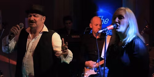 The Estrella's Festive Fox Fun