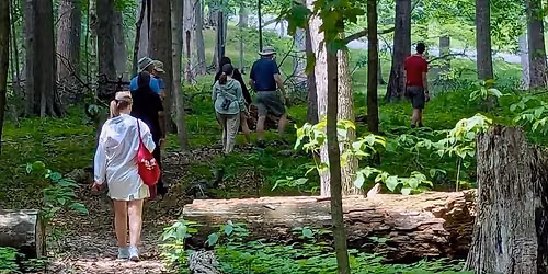 Mindful Birding Workshop at the Crown Hill Arboretum