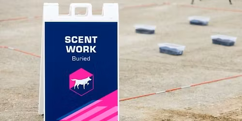 Buried Hides Clinic w\/ Jen Anderson!