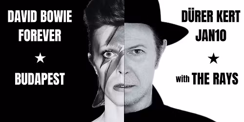 David Bowie Forever Concert with the Rays