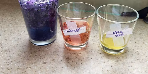 Eco-Friendly Painting with Homemade Watercolors