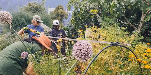 Organic Gardening Sessions