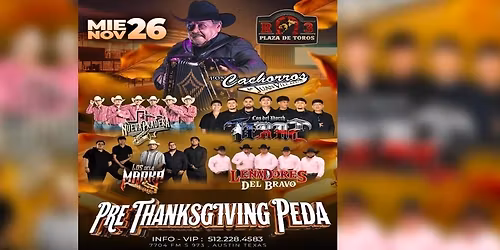 LOS CACHORROS DE JUAN VILLA REAL & MAS