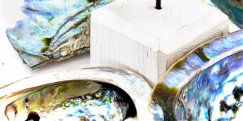 Titanium Earrings - Wellington