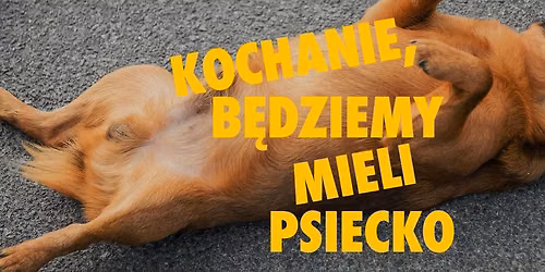 Kochanie, b\u0119dziemy mieli psiecko \u2013 spektakl impro | [02.08]