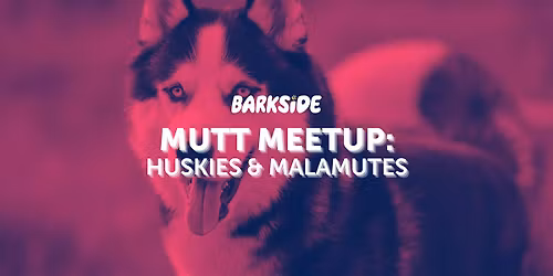 Mutt Meetup: Huskies and Malamutes
