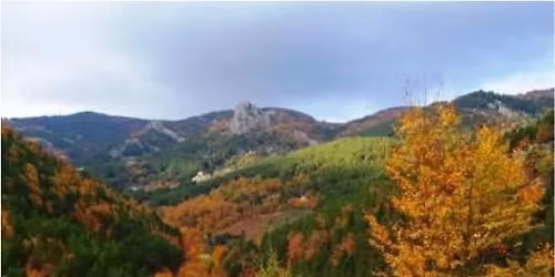 \u0389\u03a0\u0399\u0391 \u039f\u03a1\u0395\u0399\u0392\u0391\u03a4\u0399\u039a\u0397 \u0395\u039e\u039f\u03a1\u039c\u0397\u03a3\u0397 \u03a3\u03a4\u039f \u03a7\u039f\u039b\u039f\u039c\u03a9\u039d\u03a4\u0391 "\u03a4\u0391\u039e\u0399\u0391\u03a1\u03a7\u0397\u03a3 - \u03a0\u0391\u039b\u0391\u0399\u039f\u03a7\u03a9\u03a1\u0391" 