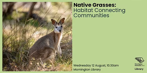Native Grasses: Habitat Connecting Communities - Mornington Library