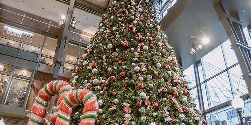 Downtown Holiday Sights