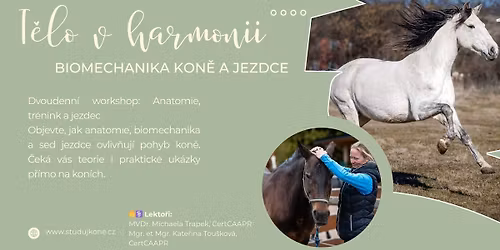 T\u011blo v harmonii: biomechanika kon\u011b a jezdce