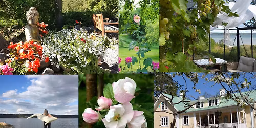 Norrk\u00f6ping - Dans och R\u00f6relse i medveten n\u00e4rvaro