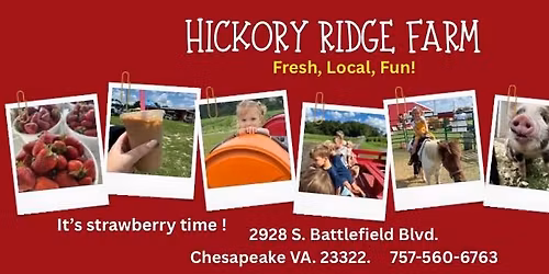 Strawberry picking and family fun!! 