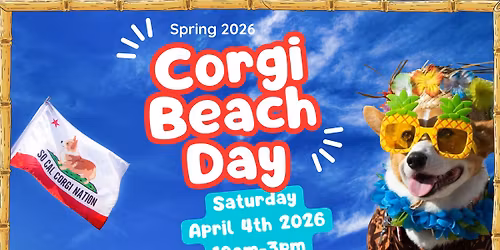 Spring 2026 Corgi Beach Day- TIKI EDITION!