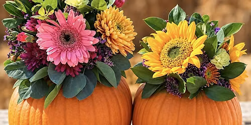 Pumpkins & Petals
