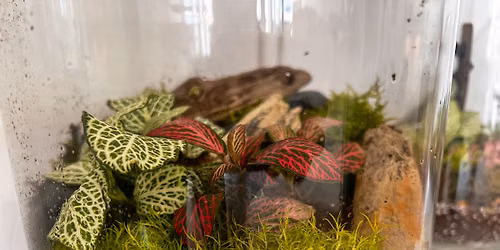 Make your own Terrarium