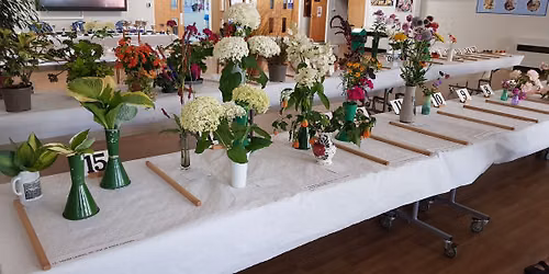 Annual Show at St Martin's School