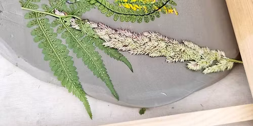 The Ultimate Botanical Relief Experience
