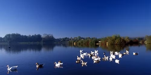 Balade naturaliste : Les oiseaux de la R\u00e9serve Naturelle du H\u00e9ron
