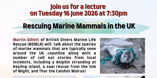 Lecture: Rescuing Marine Mammals in the UK, with Martin Gillett of the BDMLR, in house and on Zoom