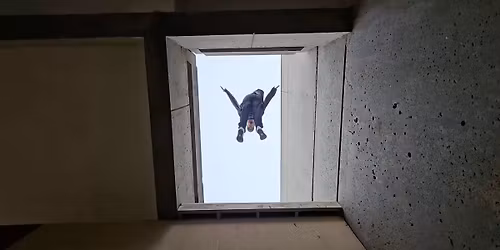 December Monthly Jam! (SF State)