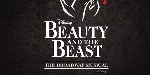 Beauty & The Beast the Musical 