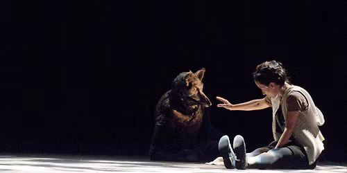 Le Petit Chaperon rouge