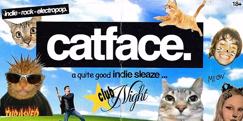 catface 