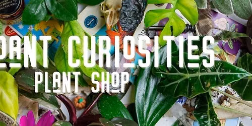 June Plant Swap