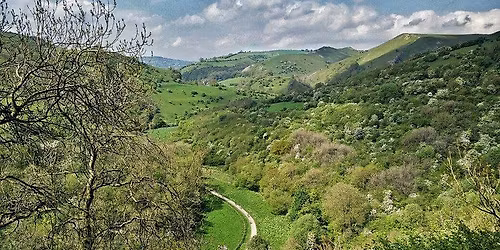 Whitepeak Gravel Sandwiches?