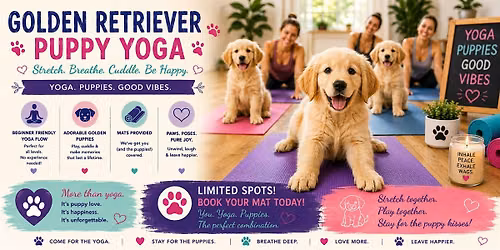 Golden Retriever Puppy Yoga in Hamilton