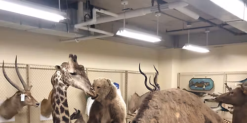 Let\u2019s Sketch GRPM\u2019s Archives!