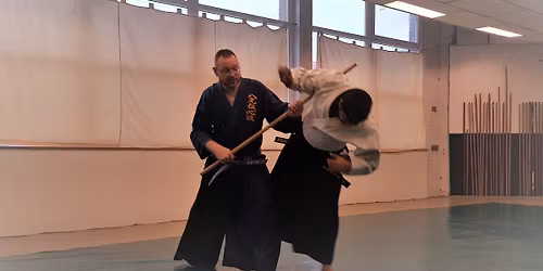 Stage de Hakko Denshin Ryu Jujutsu
