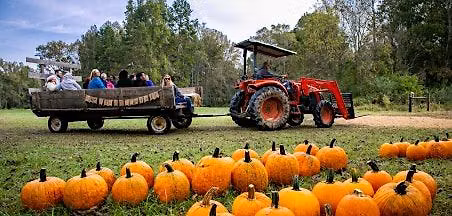 Harvesting Opportunities: Leveraging Your Farm Assets for Agritourism