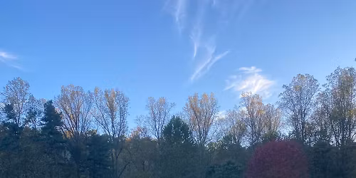 Annual 4h camp summer show