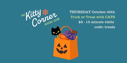 Trick or Treat With CATS + KITTENS!