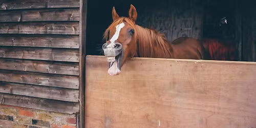 Back to the Basics Client Information Seminar \u2014 Country View Equine Clinic