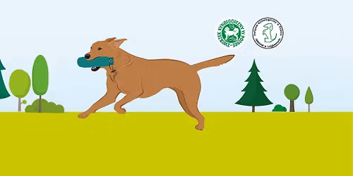 Dual Working Test Wiskitki