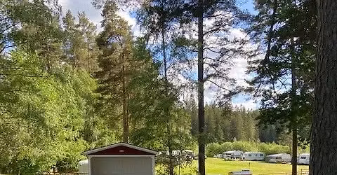 Dansa in sommaren vid vackra Skogssj\u00f6n! \ud83c\udf38\ud83c\udfb6