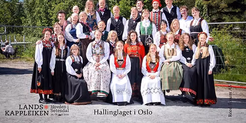 Danse\u00f8ving i Hallinglaget