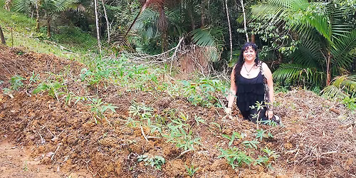 Taino Spring Ceremony & Yuca Planting Workshop (SUNDAY!)!