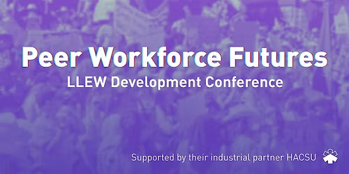 Peer Workforce Futures
